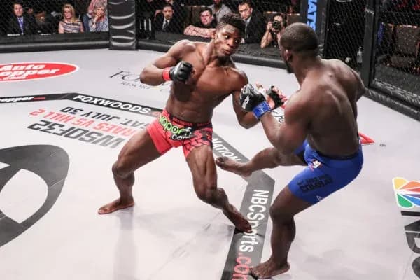 MMA article image