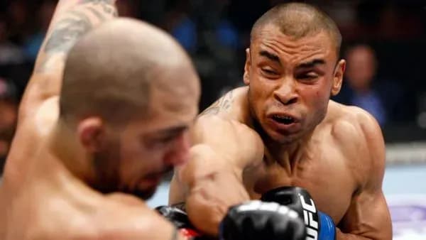 MMA article image