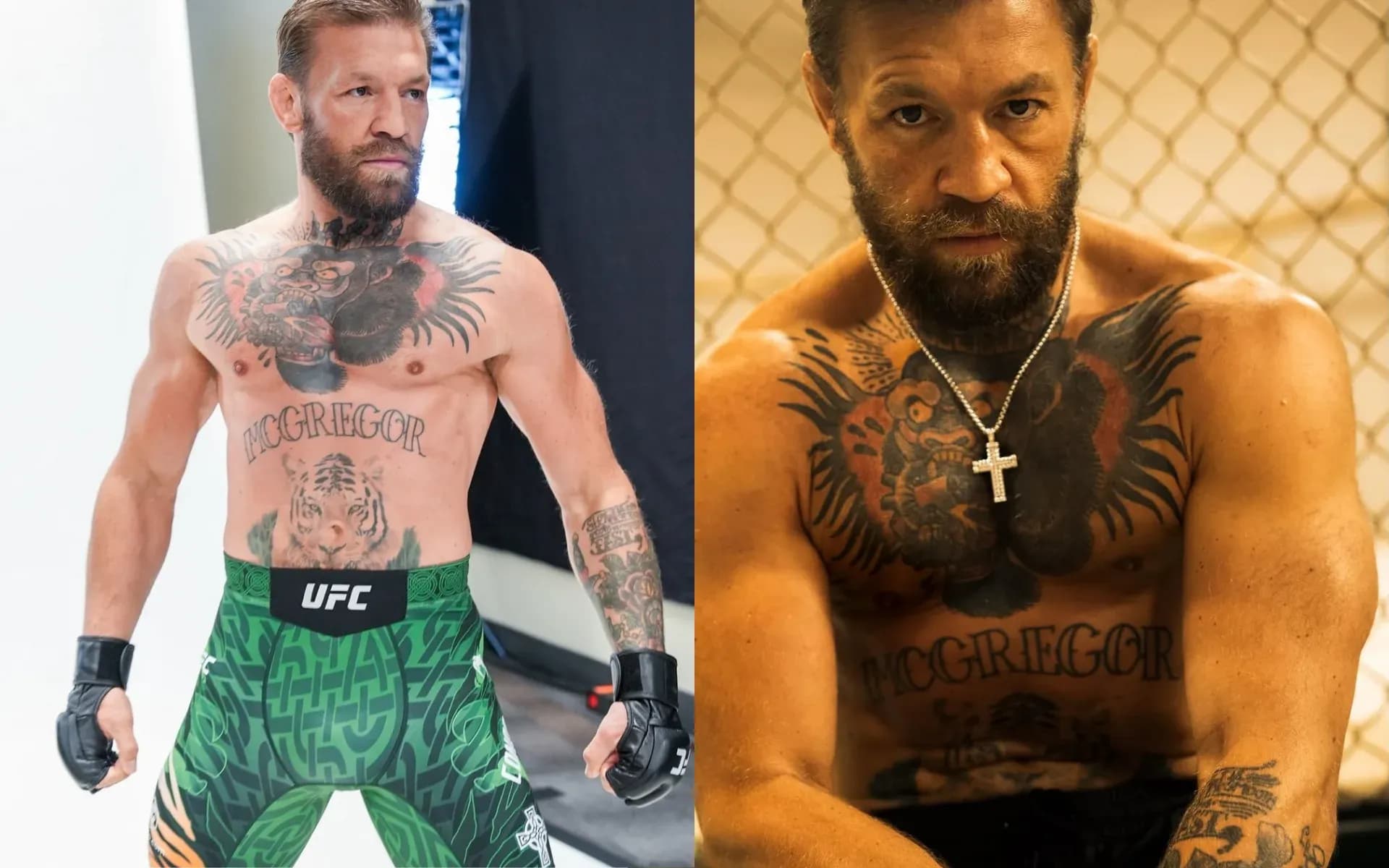 UFC great Conor McGregor has vowed to return in 2027