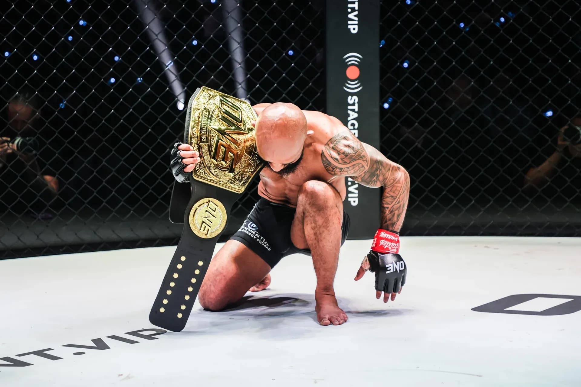 Demetrious Johnson Victorious