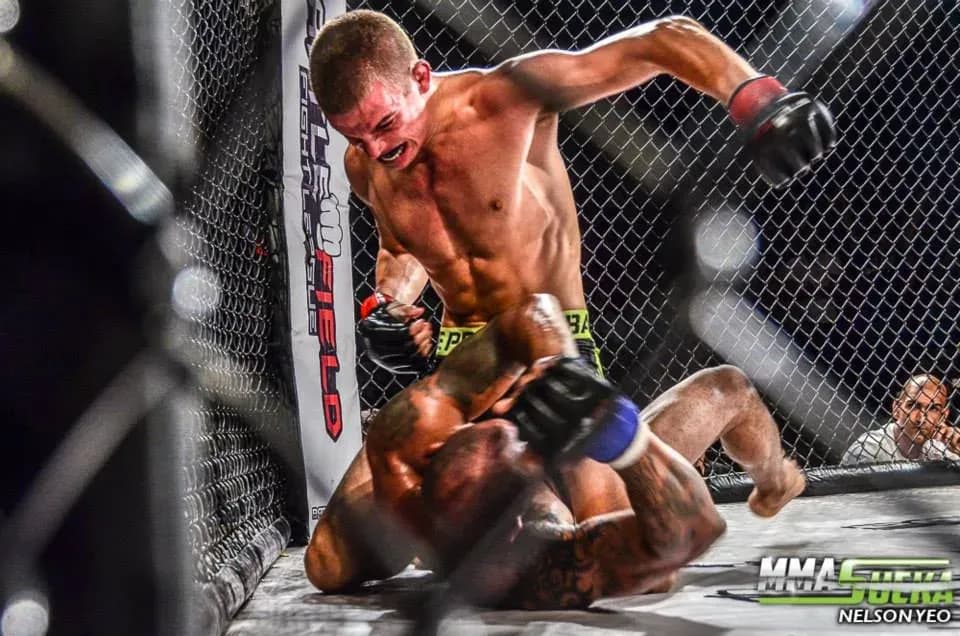MMA article image