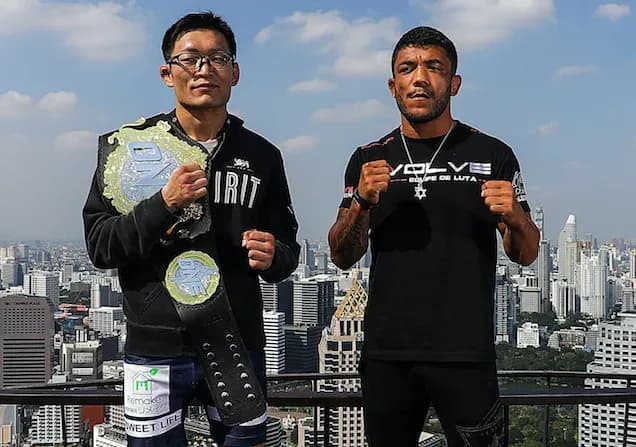 MMA article image