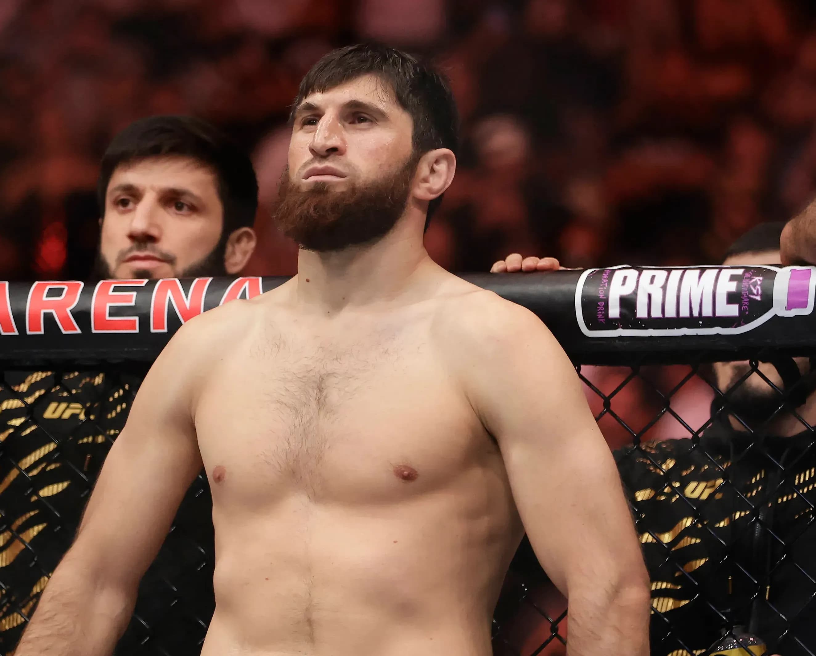Magomed Ankalaev
