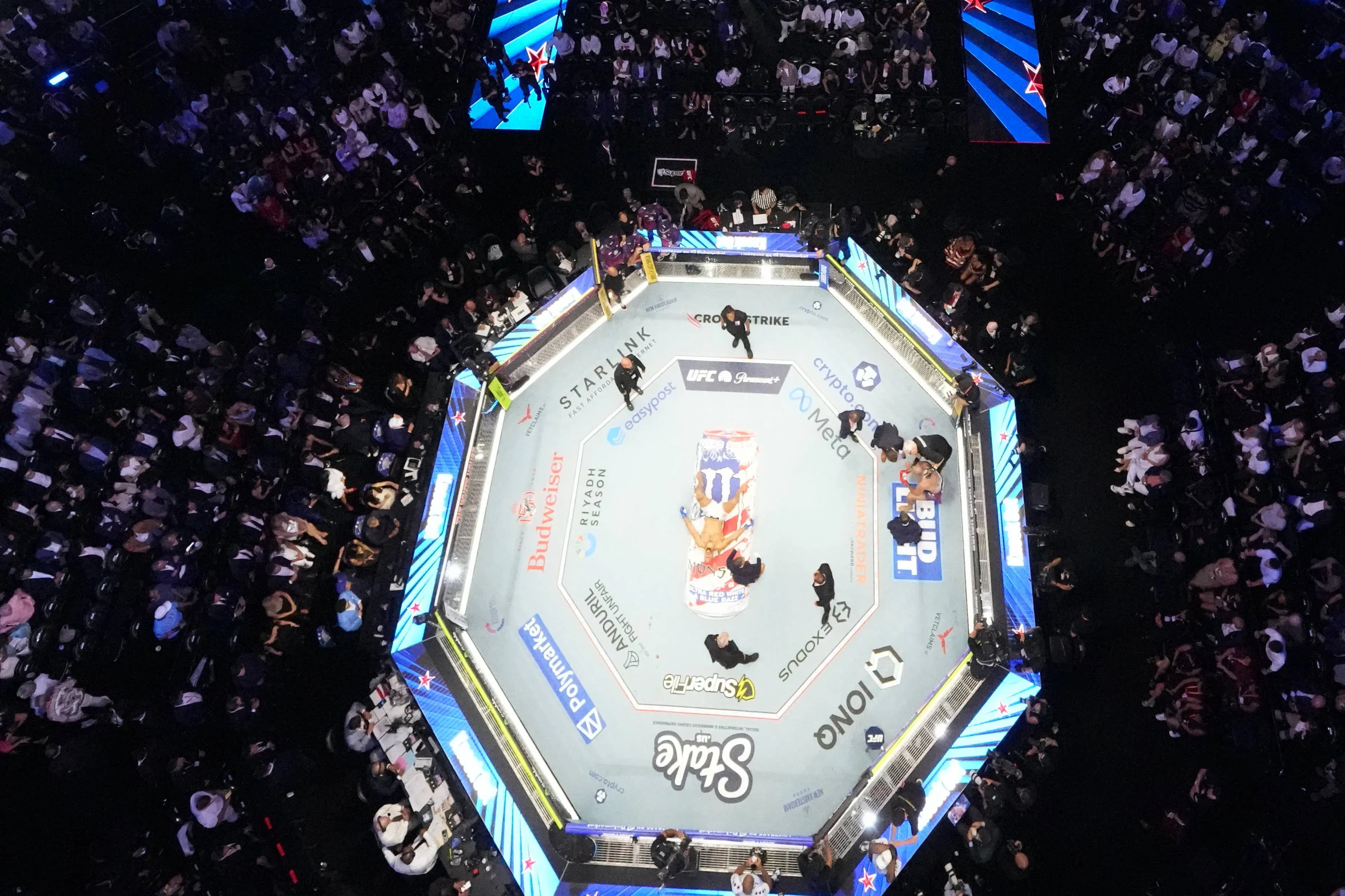 UFC Octagon