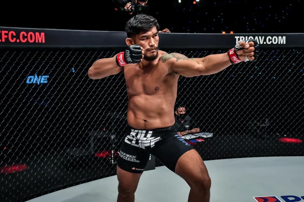MMA article image