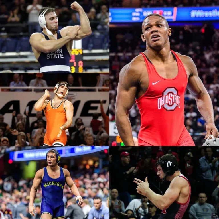 Wrestling to MMA