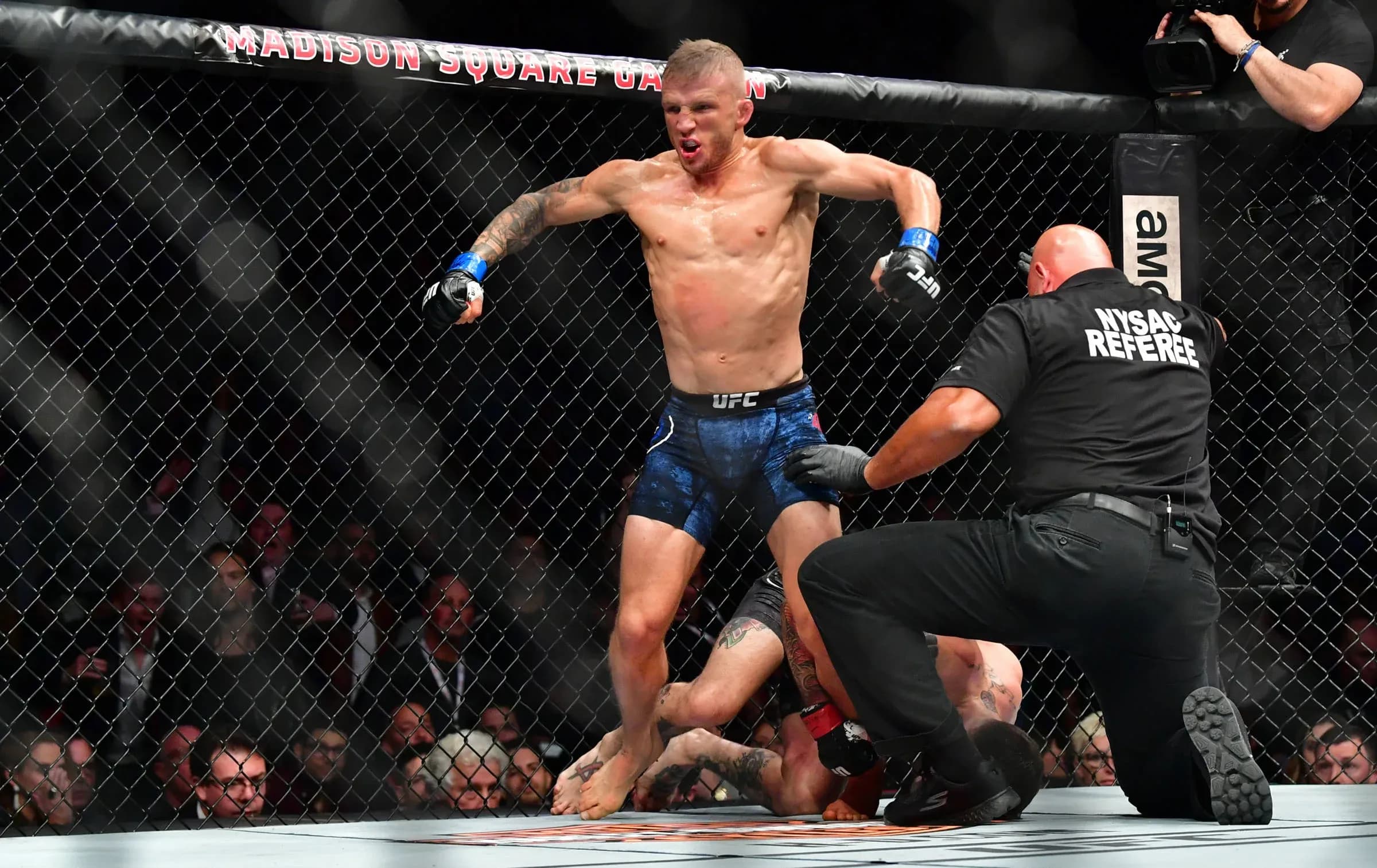 T.J. Dillashaw