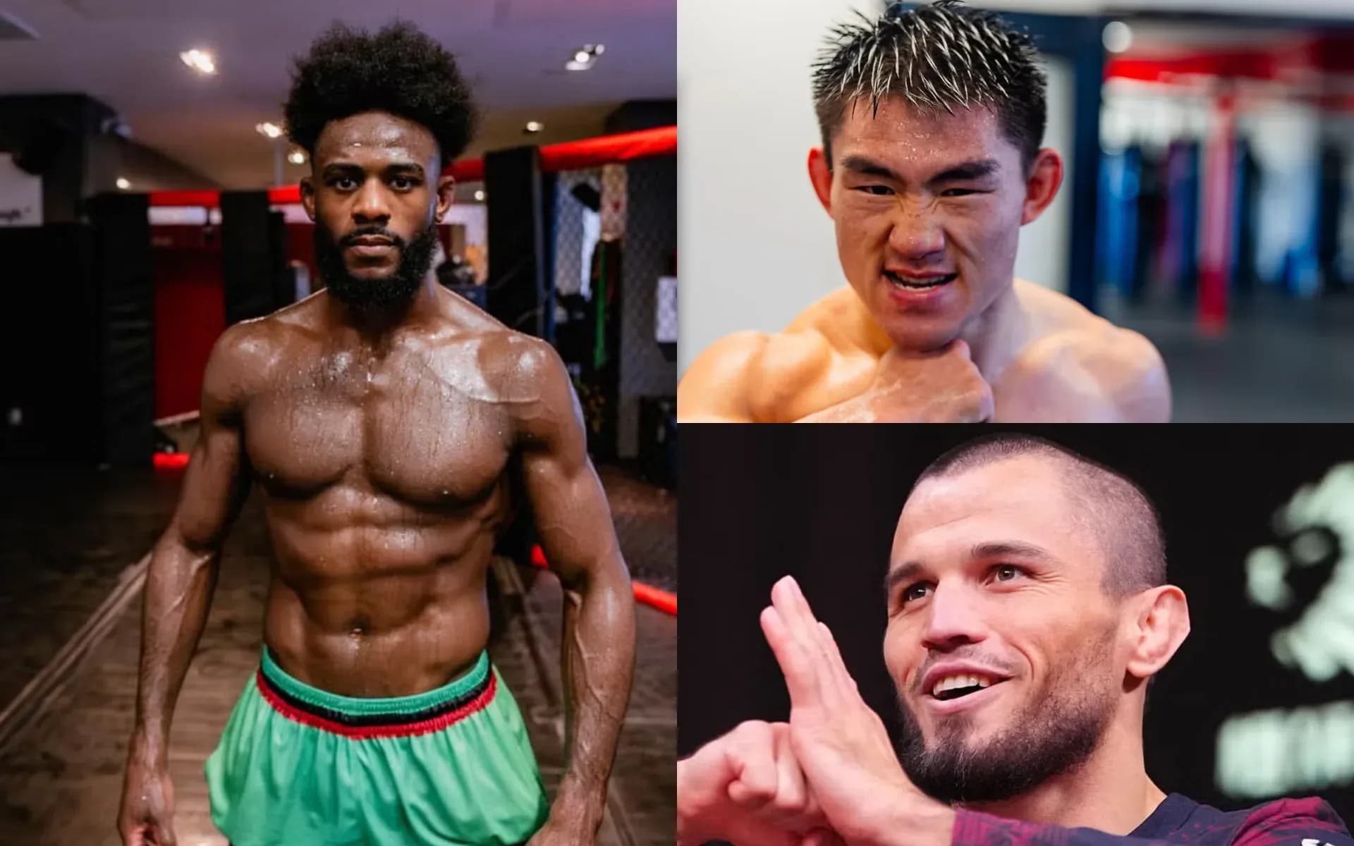 Aljamain Sterling has addressed the fight between Umar Nurmagomedov and Song Yadong