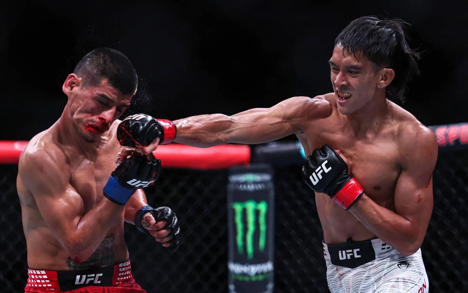 UFC books Bilal Hasan for November 14 card at Madison Square Garden