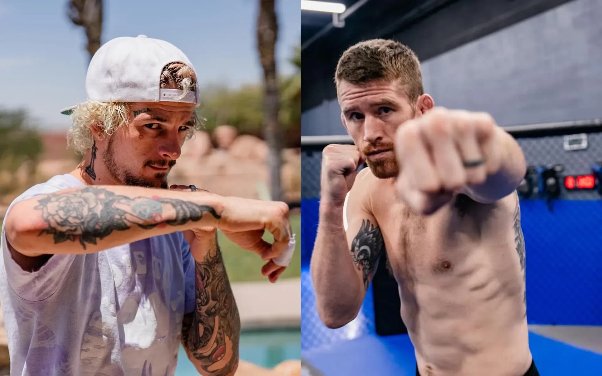 Sean O'Malley and Cory Sandhagen are beheld as striking greats at bantamweight