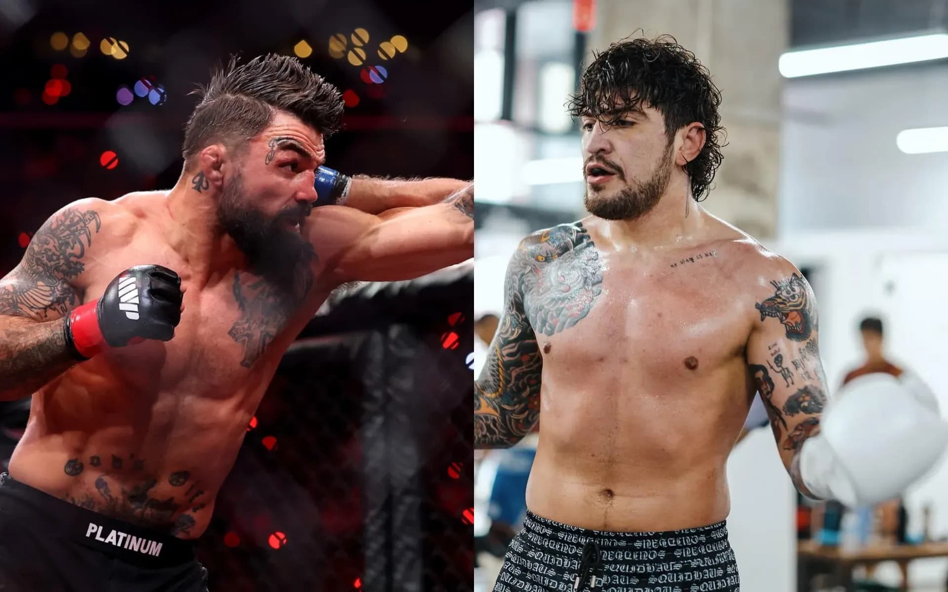 Mike Perry and Dillon Danis were to clash at Duel Arena
