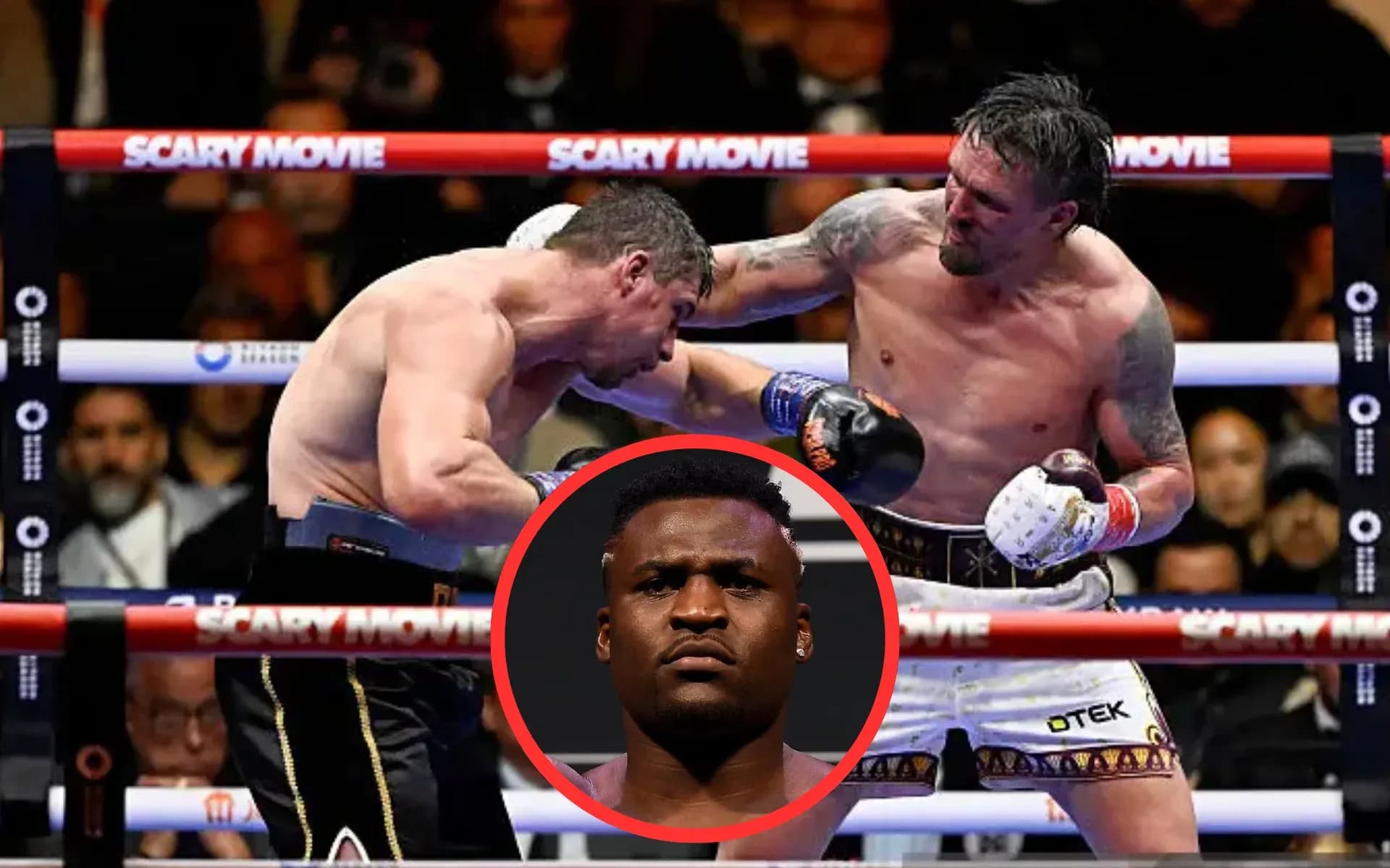 Francis Ngannou has weighed in on Rico Verhoeven's razor-thin loss to Oleksandr Usyk.