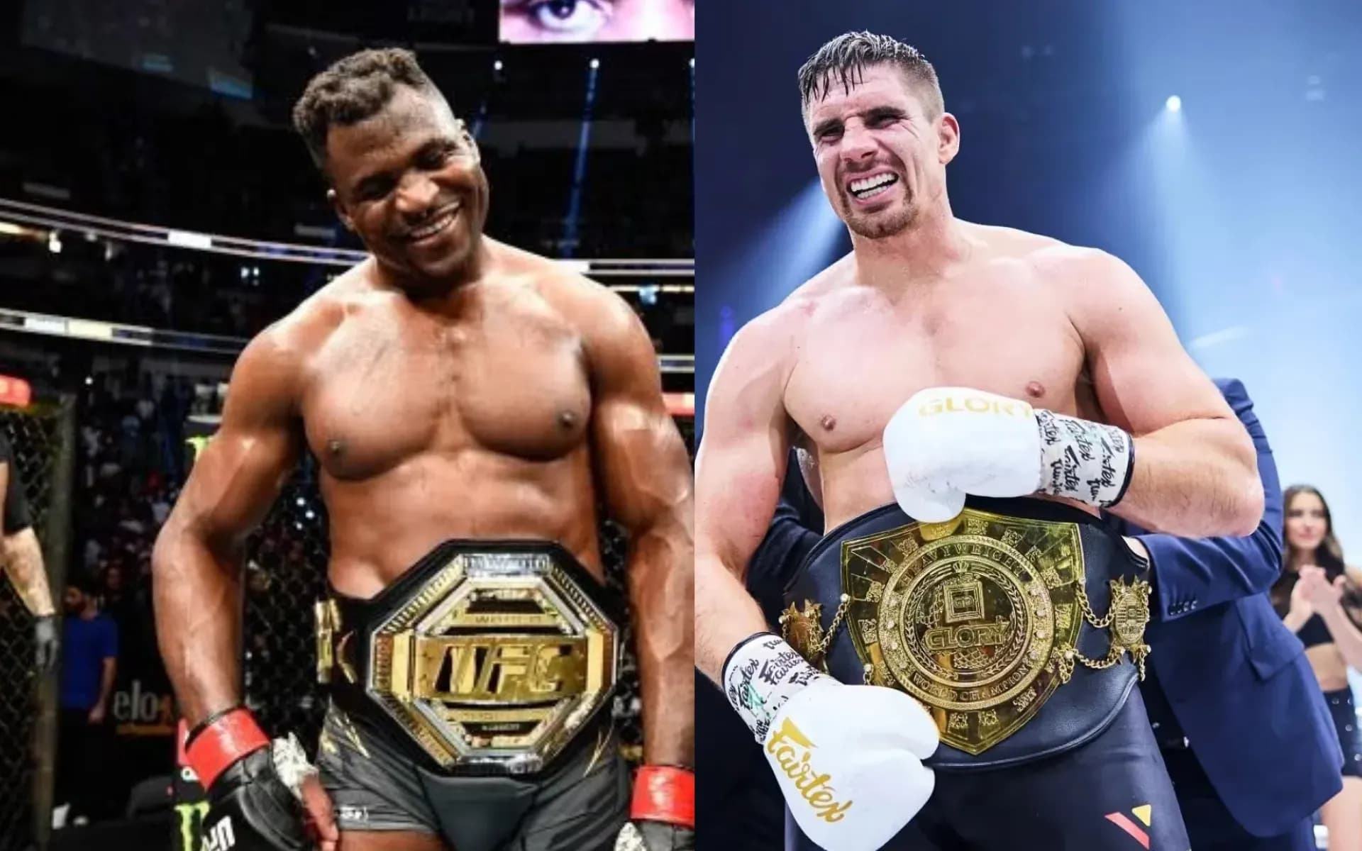Francis Ngannou and Rico Verhoeven are beheld as highly skilled fighters