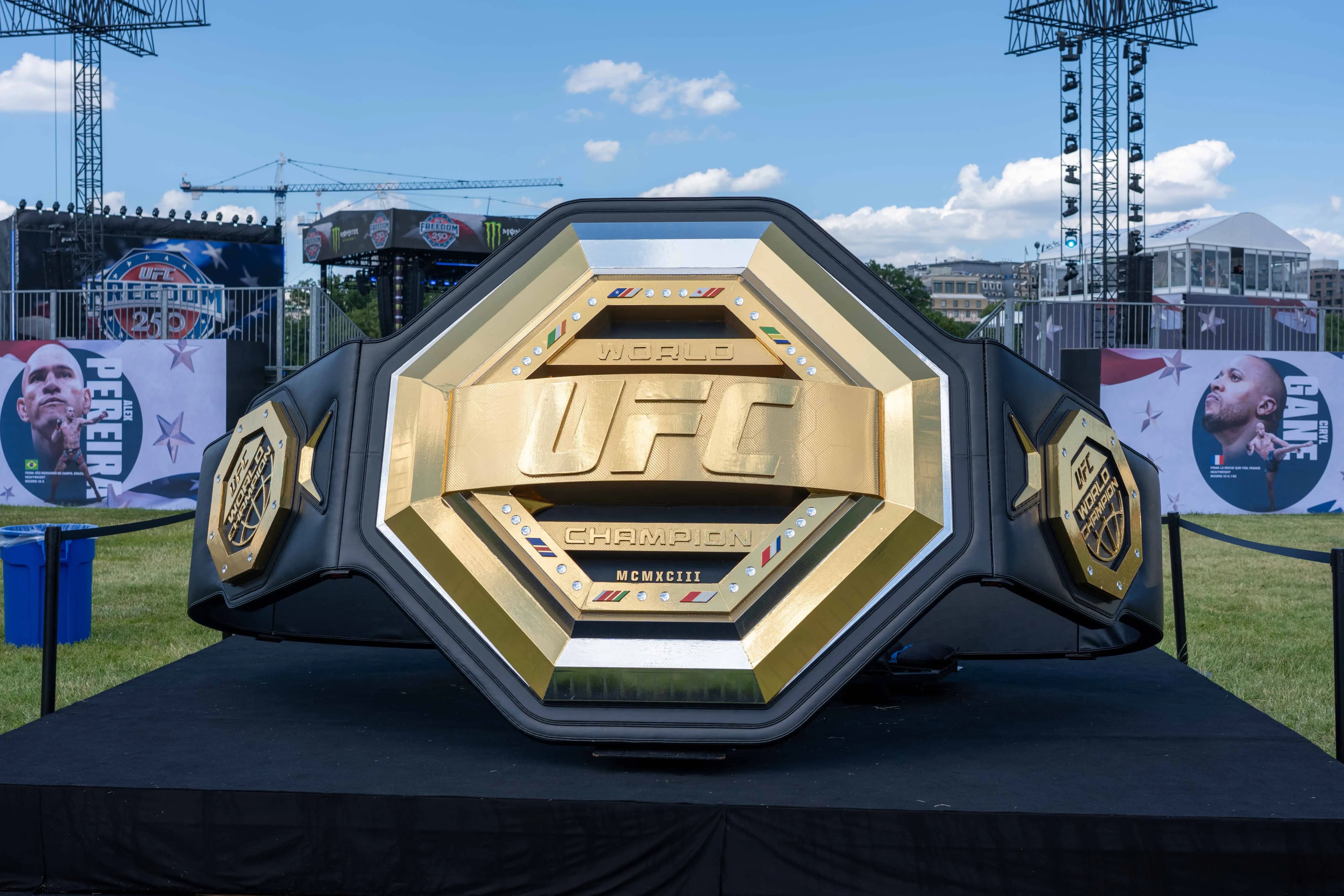 UFC belt