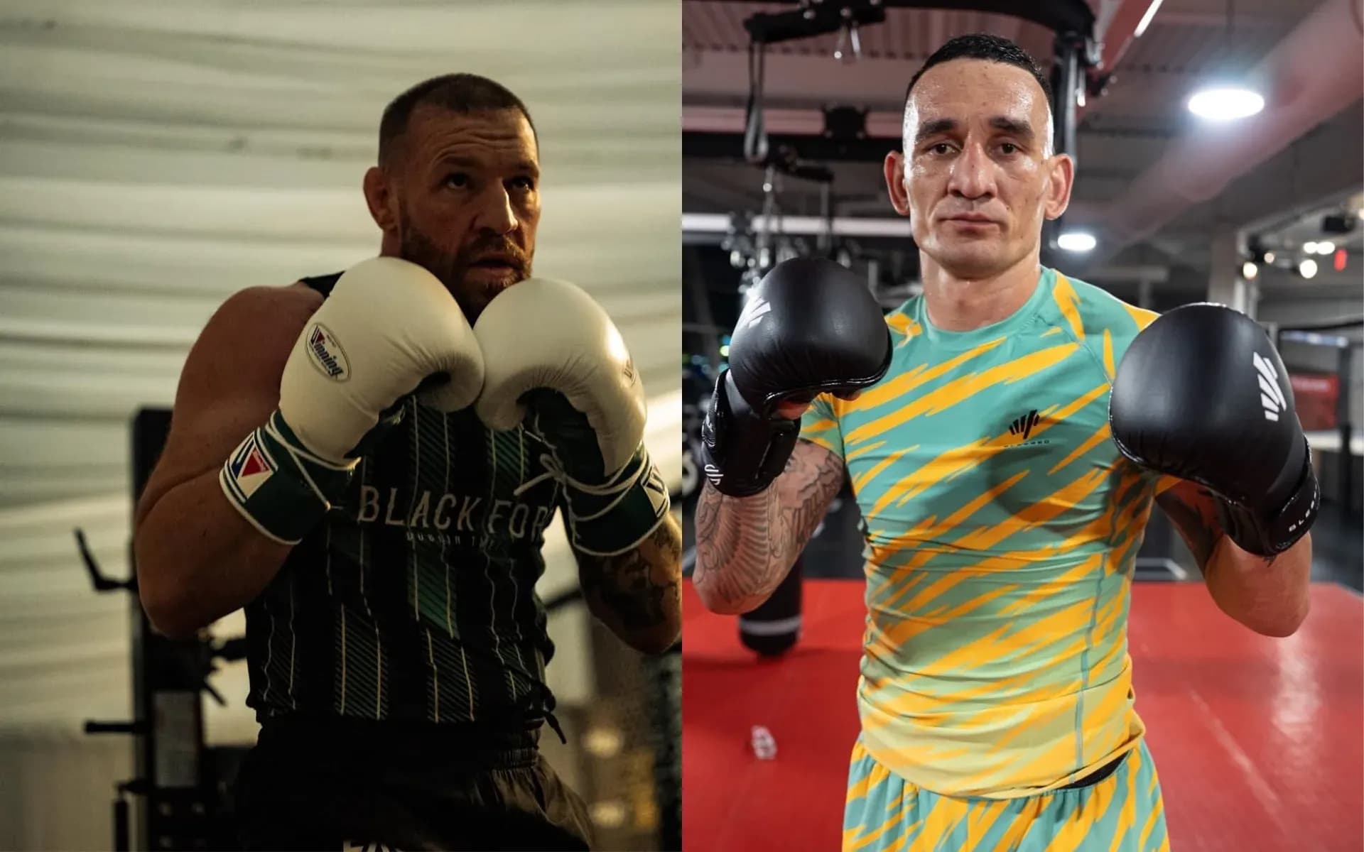 Conor McGregor and Max Holloway are beheld as MMA greats