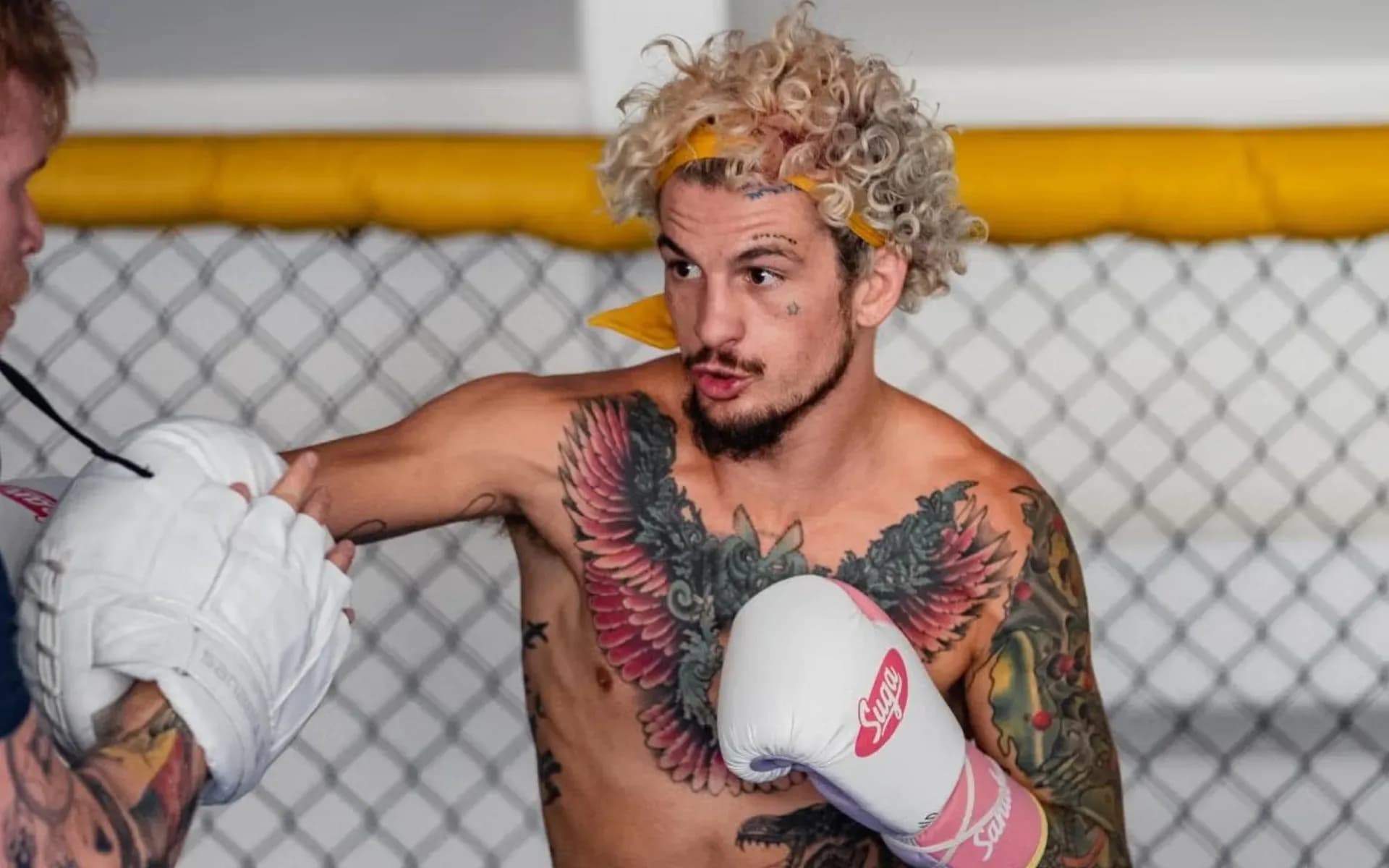 Sean O'Malley has his eyes on UFC 333, against Petr Yan and Merab Dvalishvili
