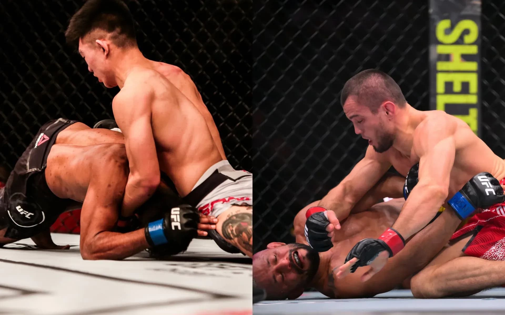 Song Yadong and Umar Nurmagomedov