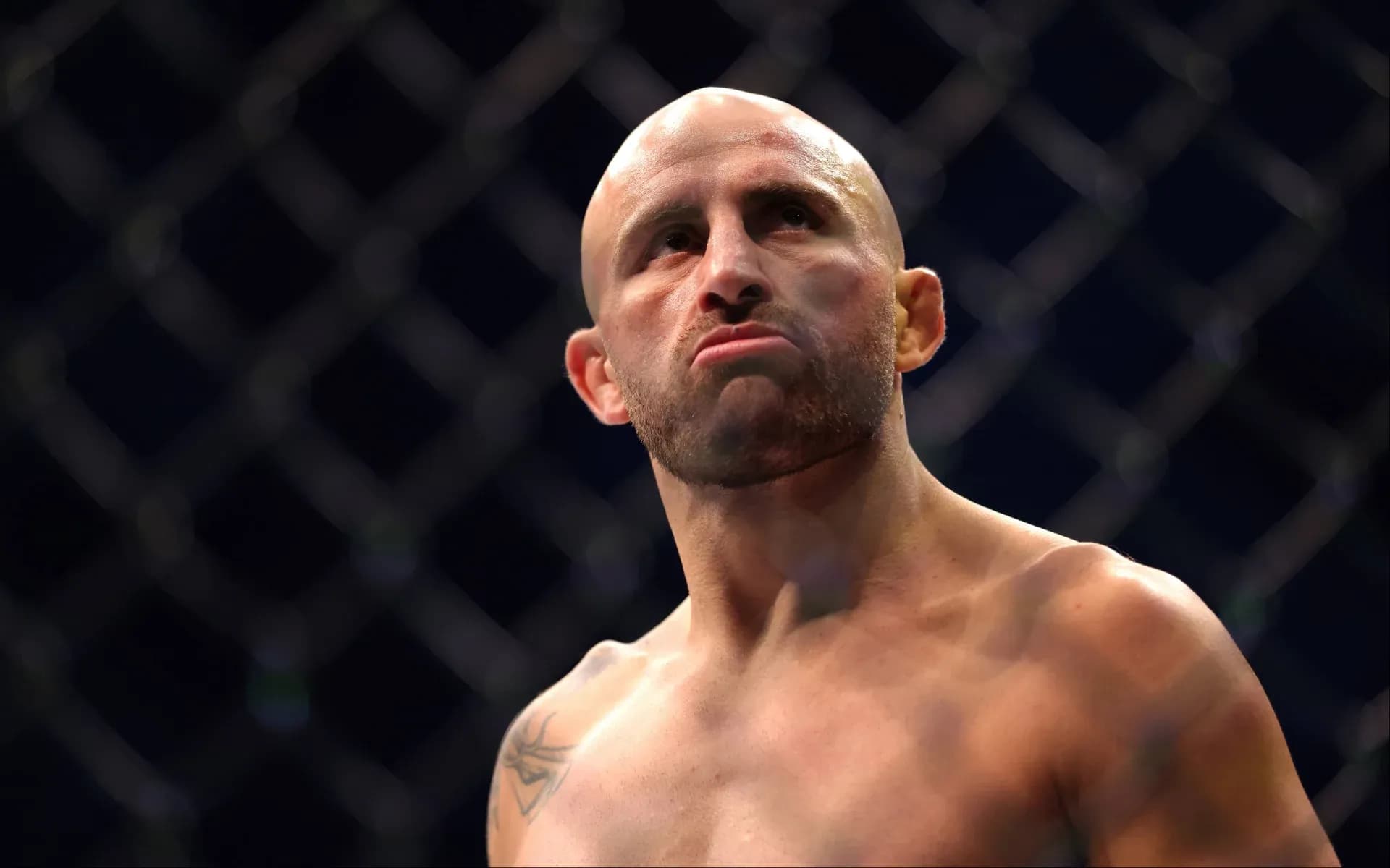 alexander-volkanovski