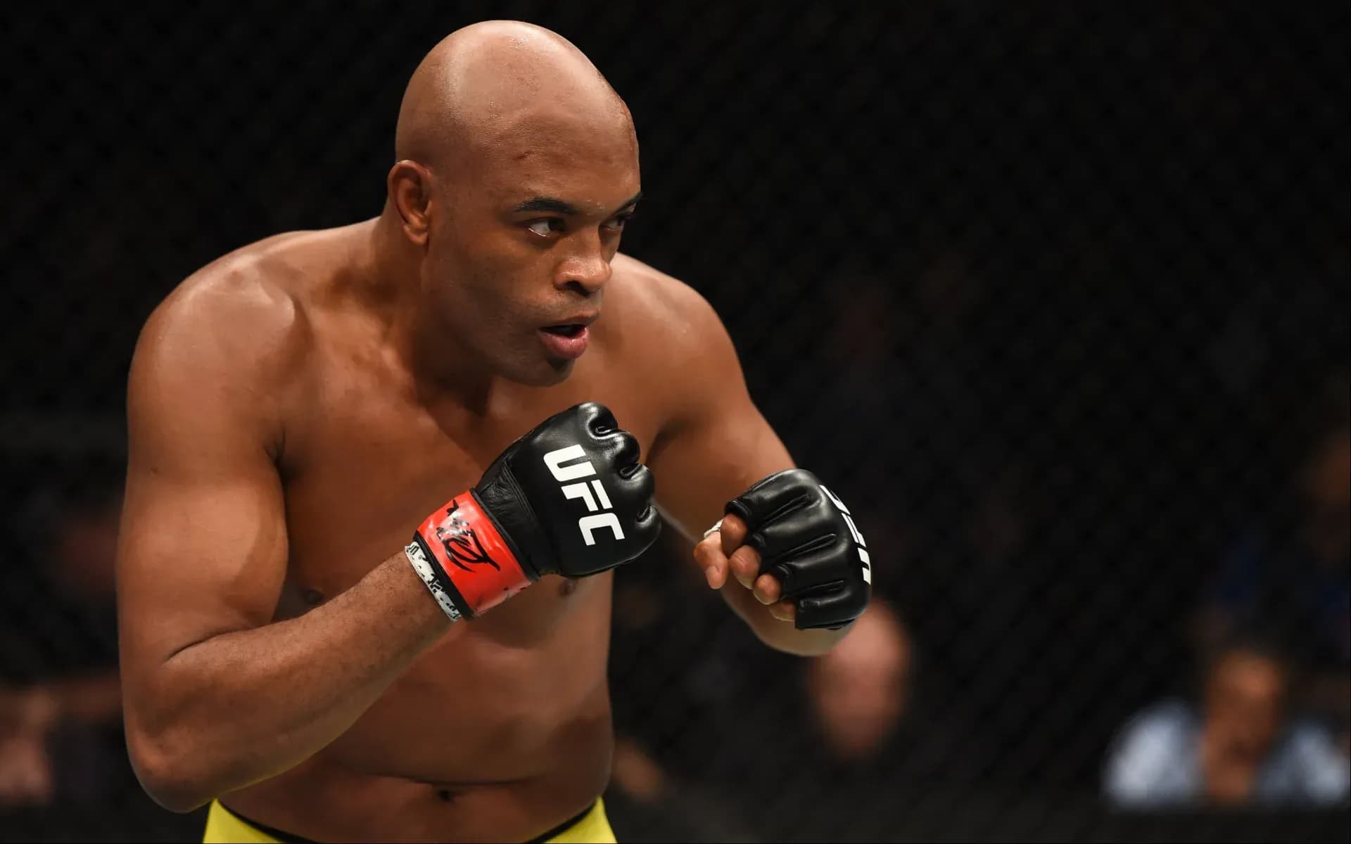anderson-silva