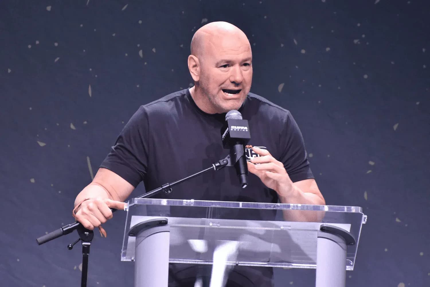 Dana White pictured during Zuffa Boxing Press Conference on day 3 of Fanatics Fest NYC at Javits Center