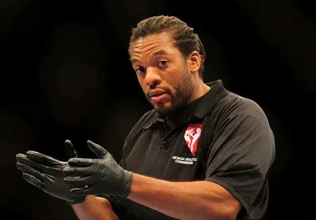 MMA article image