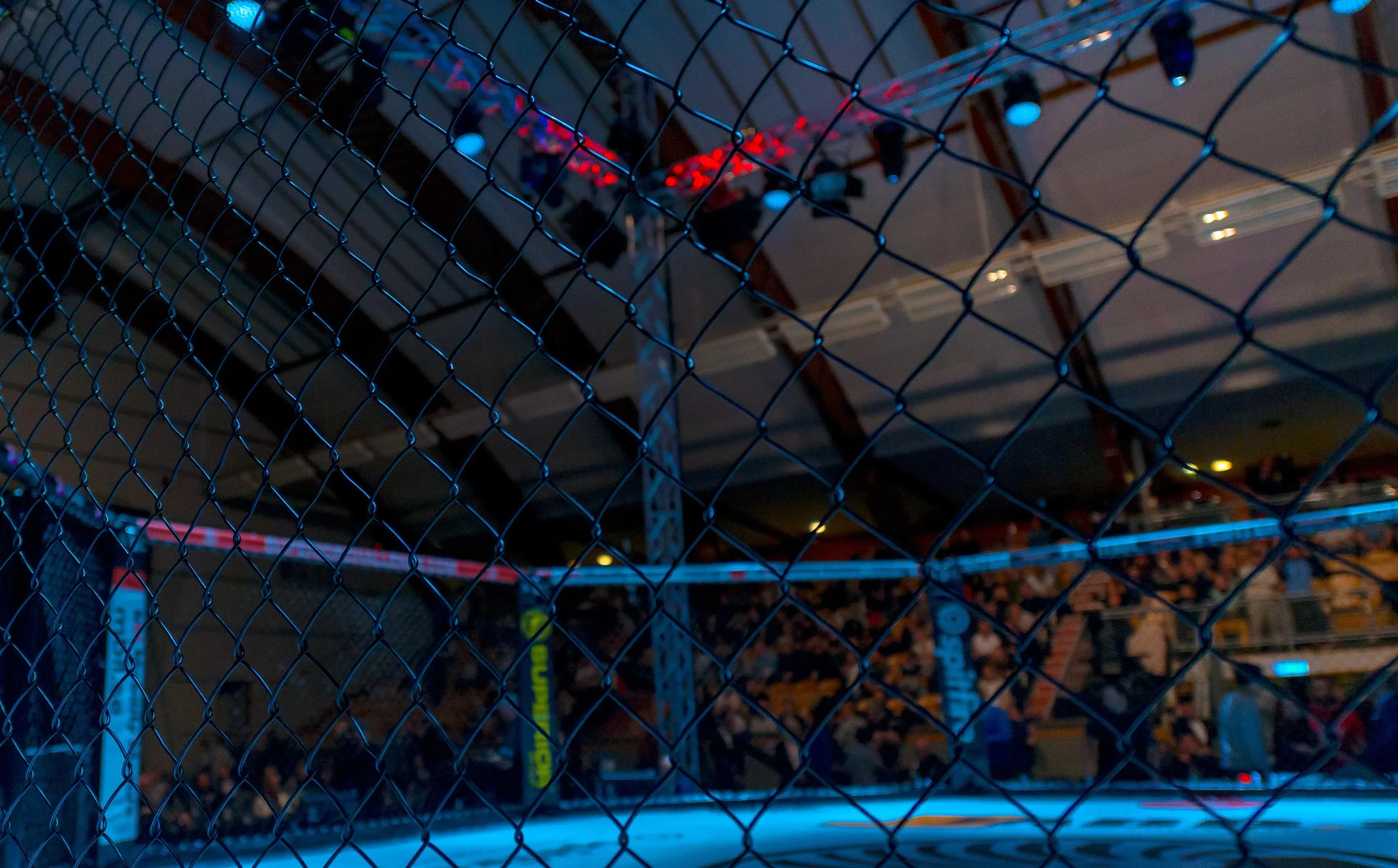 MMA Cage