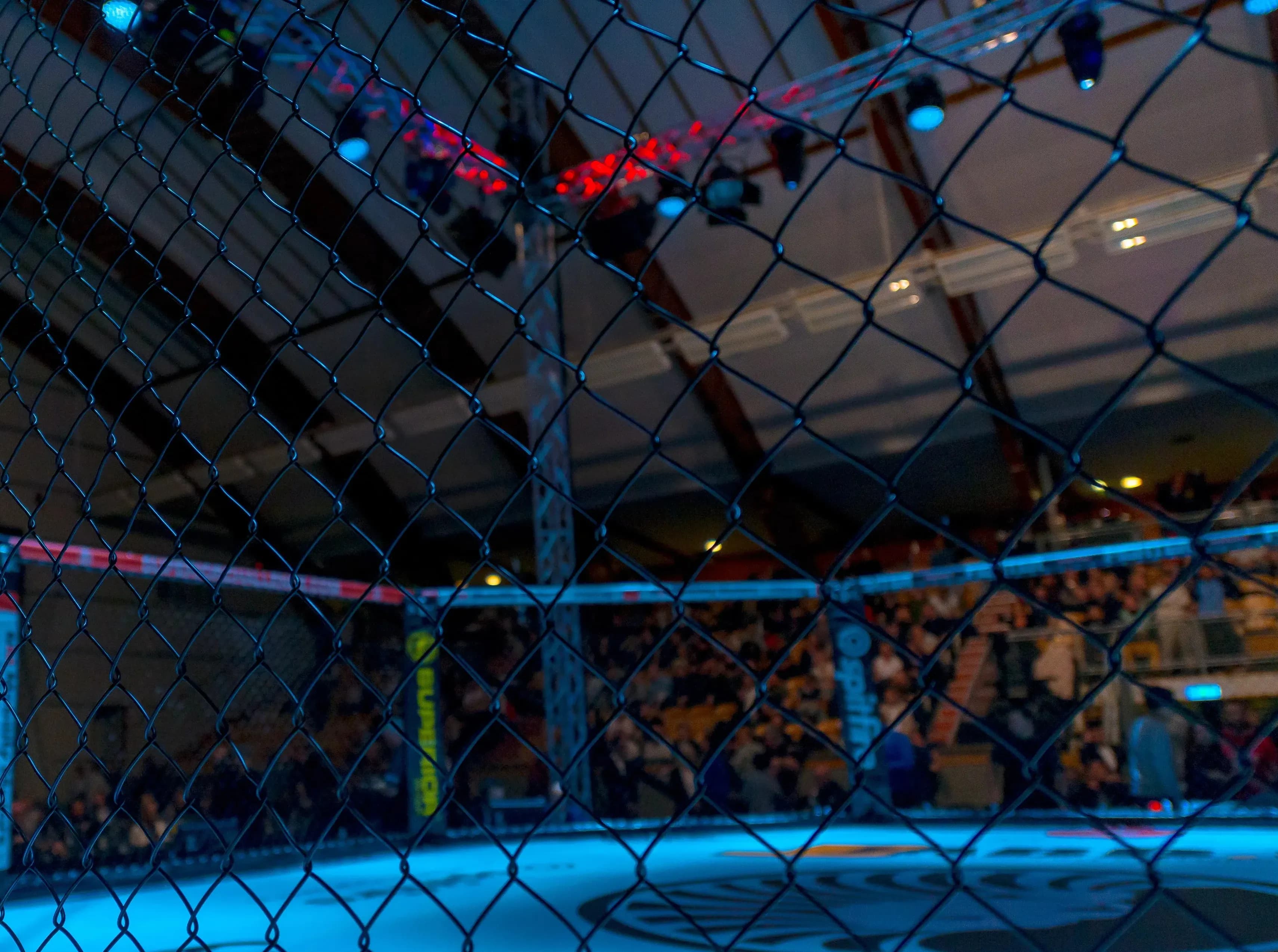 MMA Cage